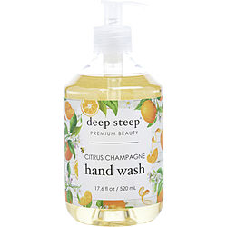 Citrus Champagne Hand Wash --520ml/17.6oz