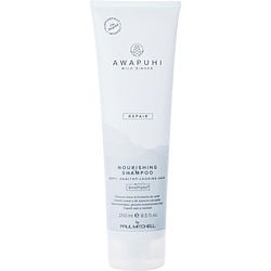 Paul Mitchell Awapuhi Wild Ginger Nourishing Shampoo 8.5 Oz